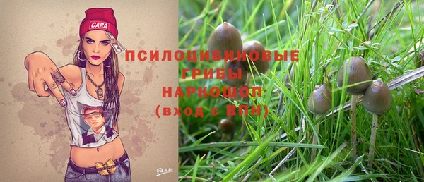 спиды Заводоуковск