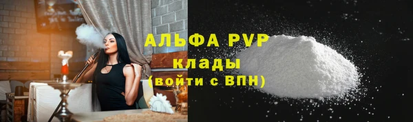 ПСИЛОЦИБИНОВЫЕ ГРИБЫ Ельня