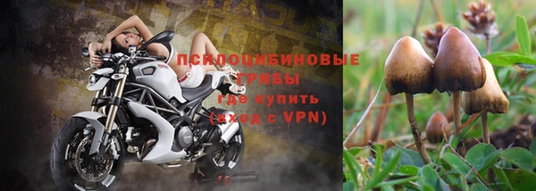 спиды Заводоуковск