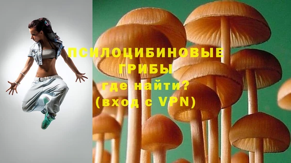 герыч Заволжск