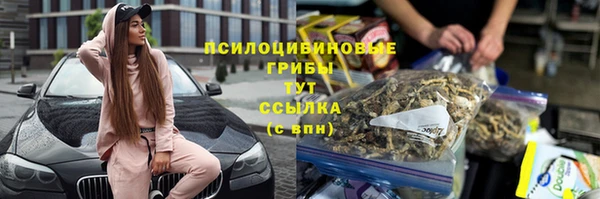 спиды Заводоуковск